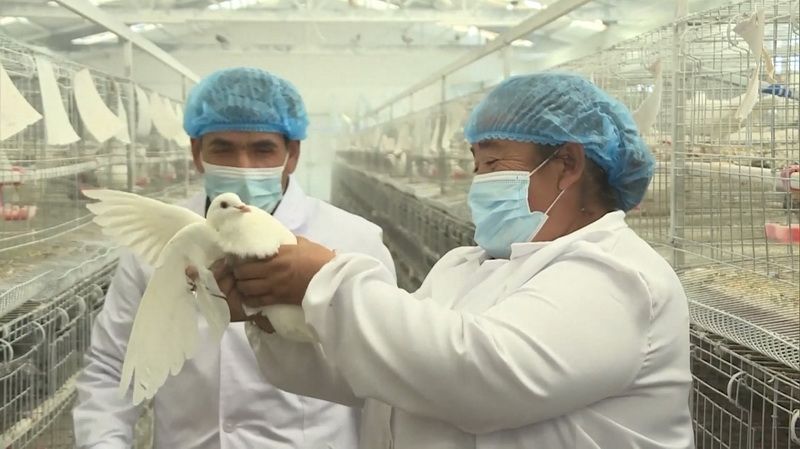 КП-204-07.jpg КП-204-07.jpg