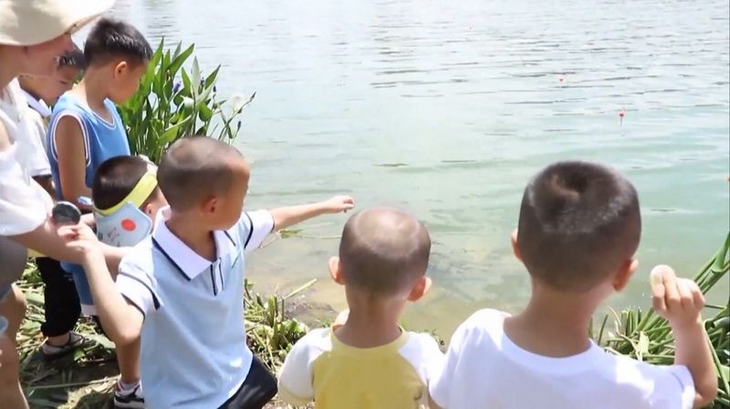 КП-204-48.jpg КП-204-48.jpg