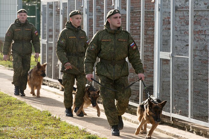 Кинологи ВС РФ вместе со служебными собаками