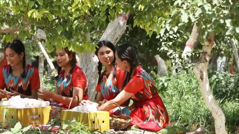 КП-204-10.jpg КП-204-10.jpg