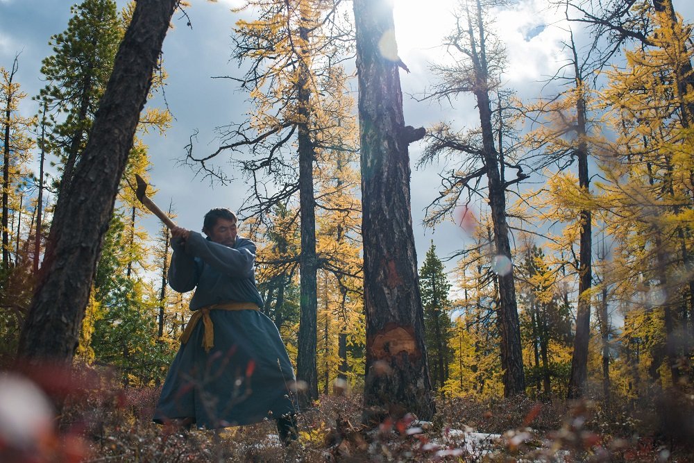Монголия. Цаатан рубит лес
