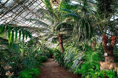 В Ингушетии откроют первый ботанический сад