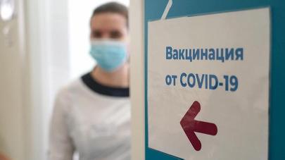 Свыше 30 миллионов россиян прошли полный курс вакцинации