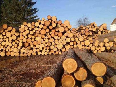 Китайский Фуюань утвердил льготы для импорта российской древесины, угля и с/х  продукции