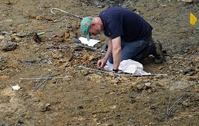 Китайские палеонтологи обнаружили в Тибете кости древнего динозавра