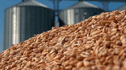  Ливан заинтересован в покупке зерна и продуктов питания у России