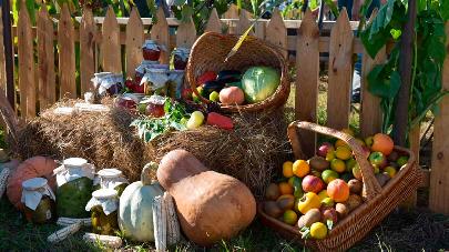 В Абхазии отметили традиционный праздник урожая