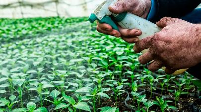 Иркутские учёные нашли способ утилизации пестицидов в почве с помощью микроорганизмов
