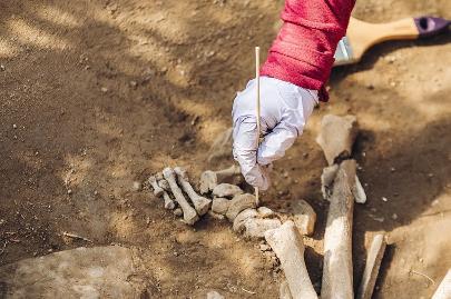 Археологи на Ямале проведут раскопки древних захоронений