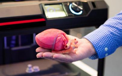Новосибирские учёные создали уникальный сердечный протез