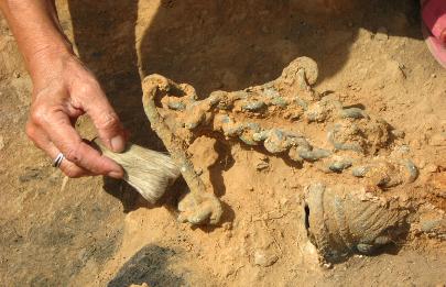 Российские археологи получили рекордное число разрешений на раскопки