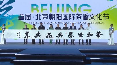 Финансовый форум Университета Цинхуа, современная энергетика, фестиваль чайной культуры, знакомство с Уюэ – смотрите «Китайскую панораму»-616