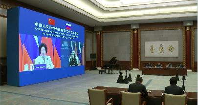 Подведены итоги 22-го заседания Российско-Китайской комиссии по гуманитарному сотрудничеству 