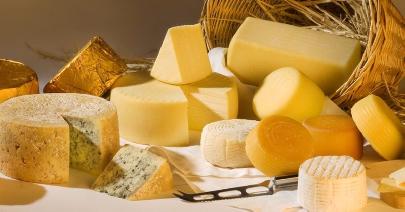 Алтайские учёные разработали рекомбинантные ферменты для создания сыров