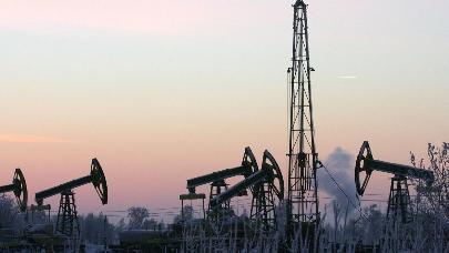 Индийские импортеры ожидают роста закупок нефти из России