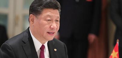 Лидер Китая призвал страны БРИКС сплотиться для содействия мирному развитию