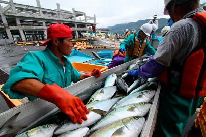 Япония возобновила рыболовство в районе южных Курильских островов
