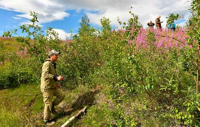 В Сибири в 2023 году продолжат изучение биоразнообразия в местах работы «Норникеля»