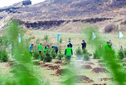 Китай намерен озеленить пустыню во Внутренней Монголии