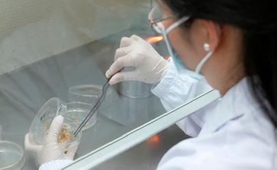 Китайские учёные создали первую в мире базу данных генов риса