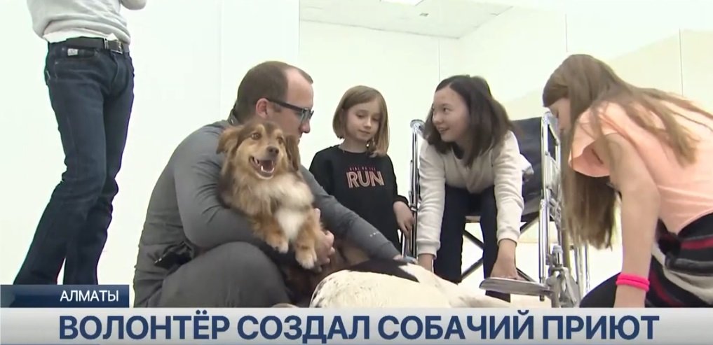 Казахстан Приют для собак 5.jpg
