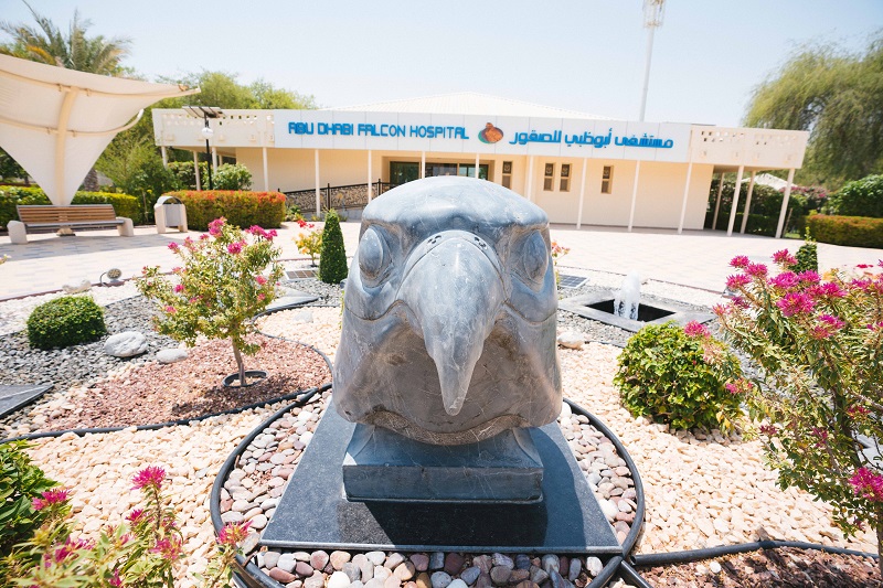 Abu Dhabi Falcon Hospital.jpg