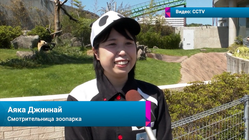 Новости Большой Азии - 847-023.jpg Новости Большой Азии - 847-023.jpg