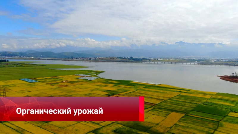 Китайская панорама-303-59.jpg