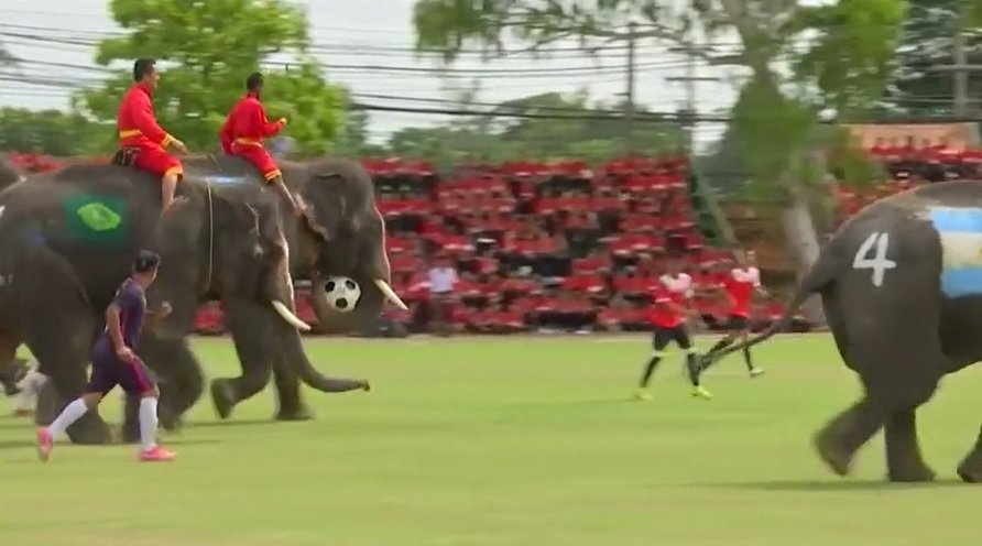 Elephants Football.jpg 
