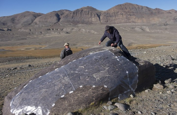 Сибирские археологи нашли на Алтае одно из самых крупных наскальных изображений оленя1.png