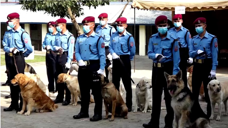 Непал Полицейские собаки 4.jpg