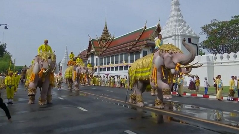 В Таиланде люди и слоны поклонились новому монарху 2.jpg