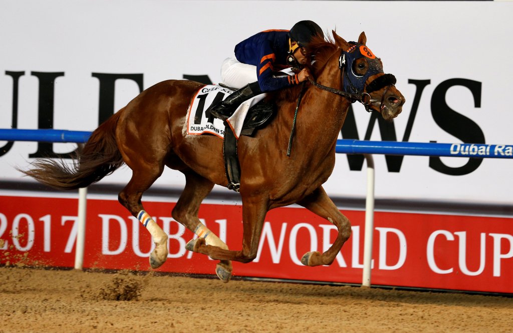  UAE, horse racing