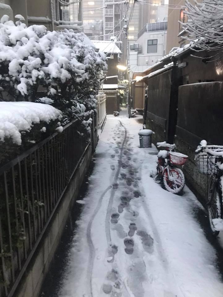 Снегопад в Токио