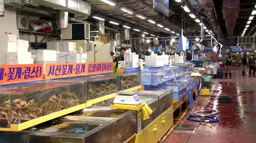 Республика Корея Рыбный рынок 8.jpg