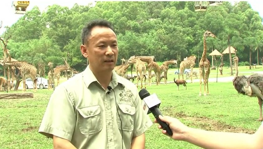 В южном Китае люди наслаждаются общением с жирафами 2.jpg