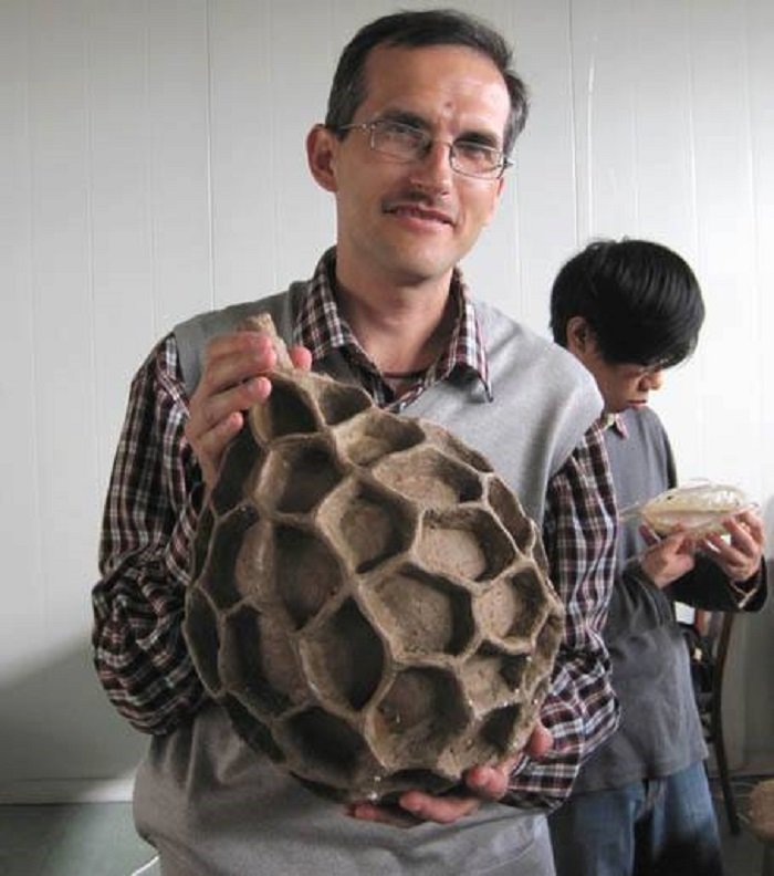 ДВФУ Чернышев немертина.jpg ДВФУ Чернышев немертина.jpg