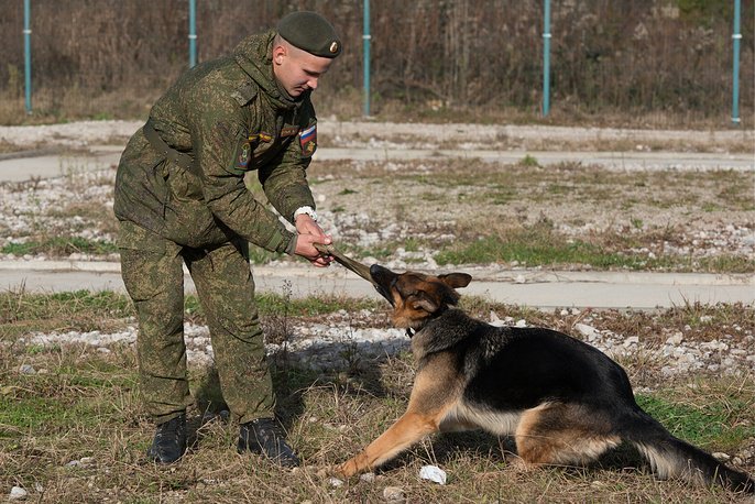 Кинолог ВС РФ тренирует служебную собаку
