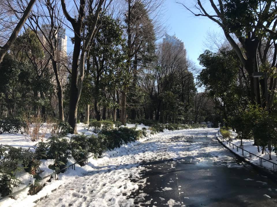 Снегопад в Токио