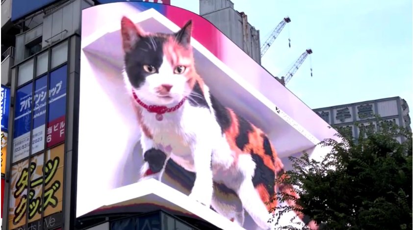Япония Виртуальная кошка 1.jpg