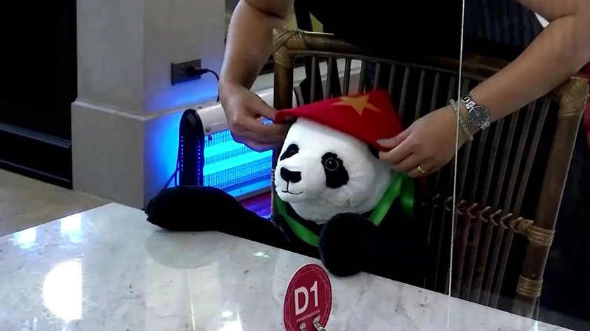 Thailand Pandas 1.jpg