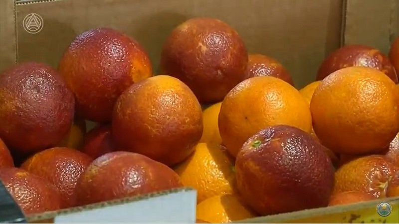 Апельсины 3.jpg