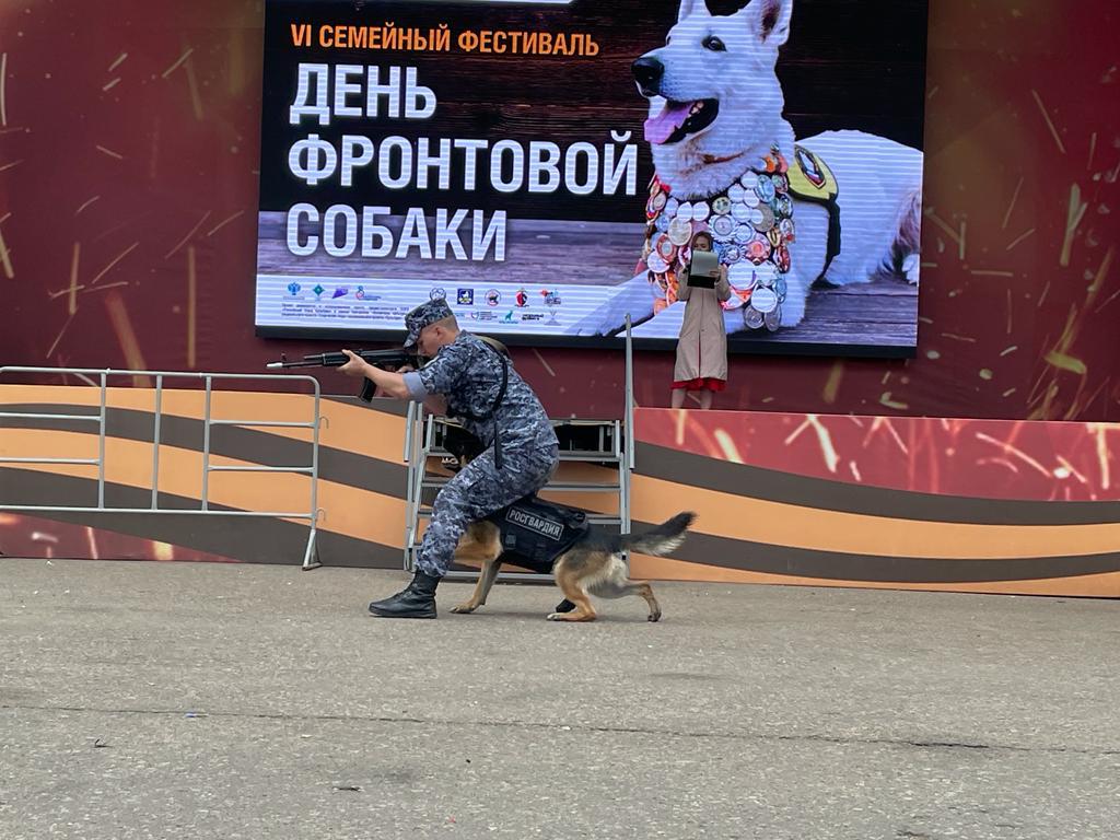 День фронтовой собаки 10.jpeg