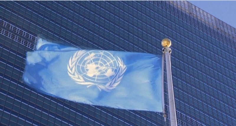 ООН 1.jpg