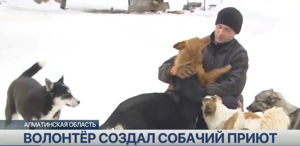 Казахстан Приют для собак 3.jpg