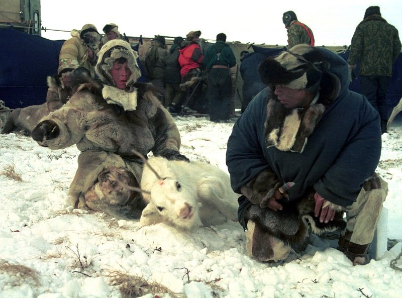 Народы Крайнего Севера. Эскимосы