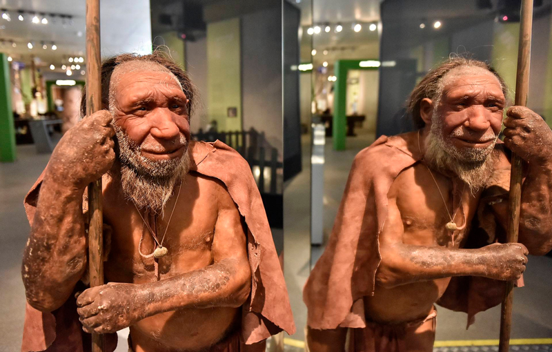 Неандертальцы и кроманьонцы обладали одинаковой ловкостью рук | Большая Азия